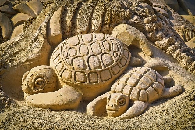 želvy z písku